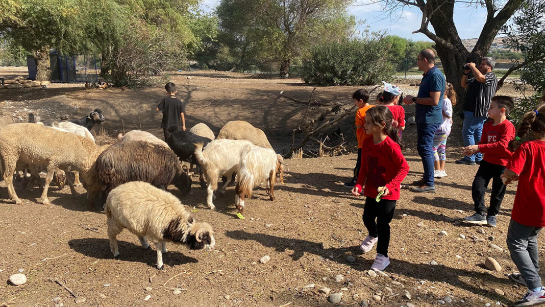 Öğrencilerden 'Emekli Hayvanlar Çiftliği'ne ziyaret