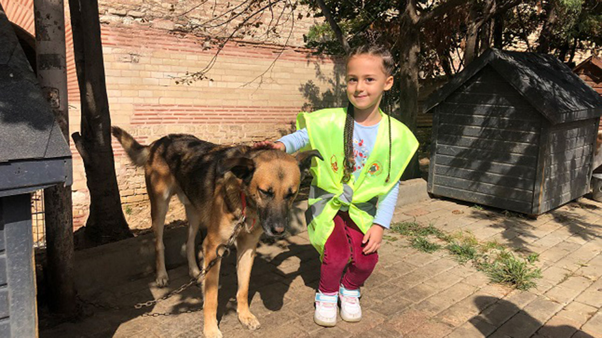 Öğrencilerden Yedikule Hayvan Barınağı'na ziyaret