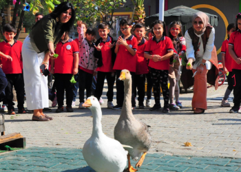 Okulun bahçesinde mini hayvanat bahçesi