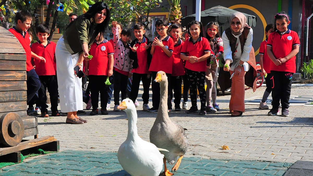 Okulun bahçesinde mini hayvanat bahçesi