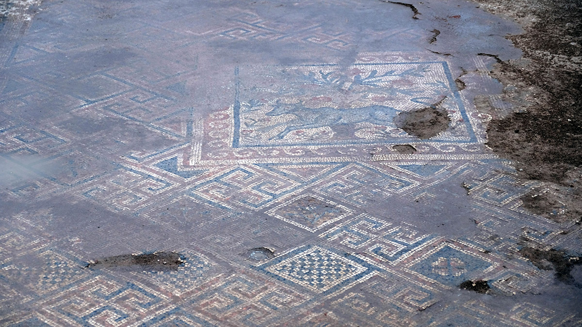 Savatra'da 160 metrekarelik mozaik bulundu