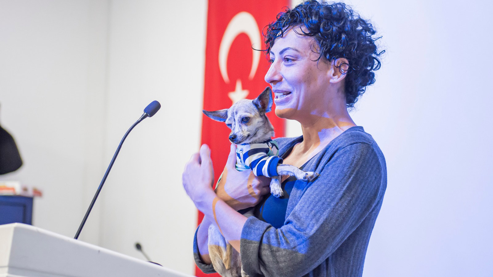 Sokak hayvanları için çalıştay düzenlendi