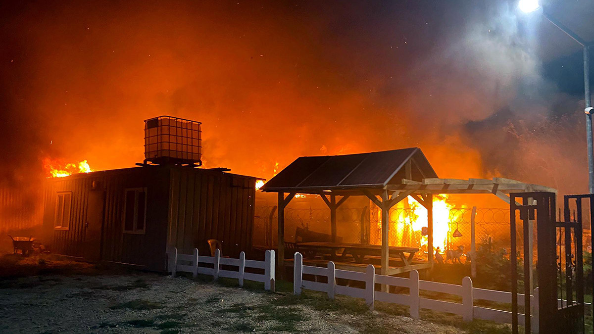 Tekirdağ'da çiftlikte yangın; 10 küçükbaş öldü
