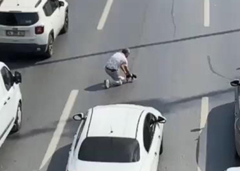 Trafiği durdurup kediyi ezilmekten kurtardı