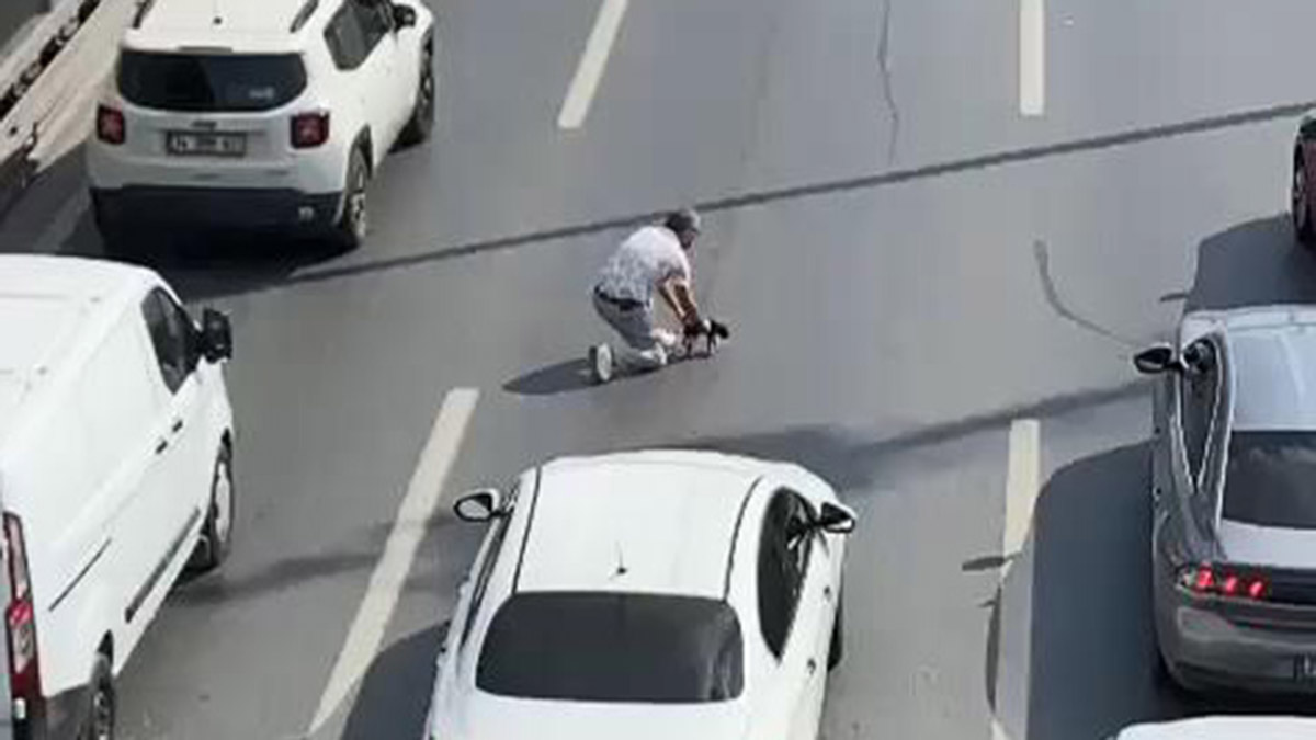 Trafiği durdurup kediyi ezilmekten kurtardı