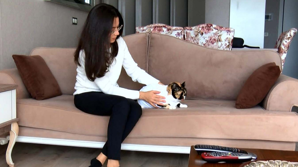 Kedisi 'Şeri'ye yanlış tedavi uygulandı iddiası