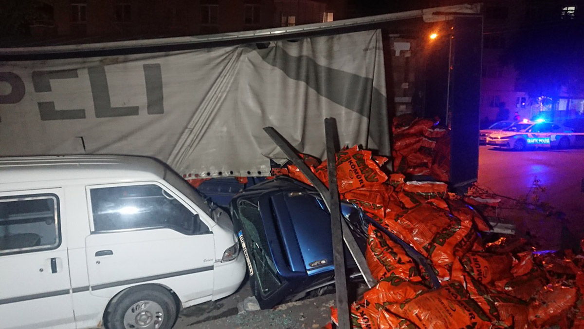 Ankara'da freni patlayan kömür yüklü TIR ağaca çarptı