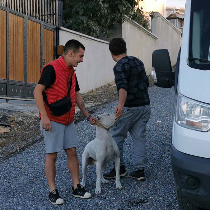 Anne-kıza saldıran yasaklı ırk köpek gözlem altında