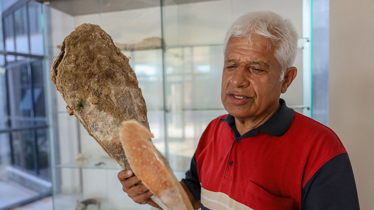 Antalya Körfezi'nde pinalar tükendi
