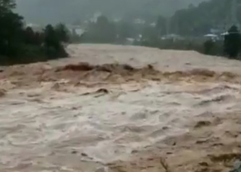 Artvin'de sağanak; derelerde su seviyesi yükseldi