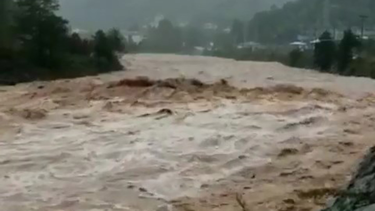 Artvin'de sağanak; derelerde su seviyesi yükseldi