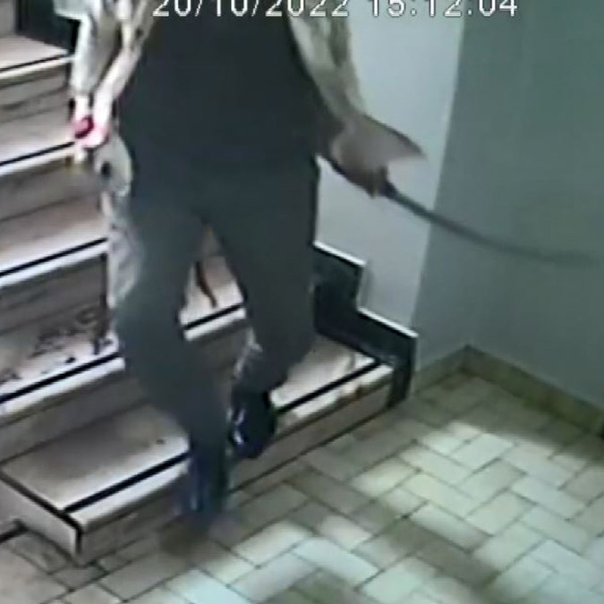 Bir elinde kılıç diğer elinde satırla meslektaşını tehdit etti