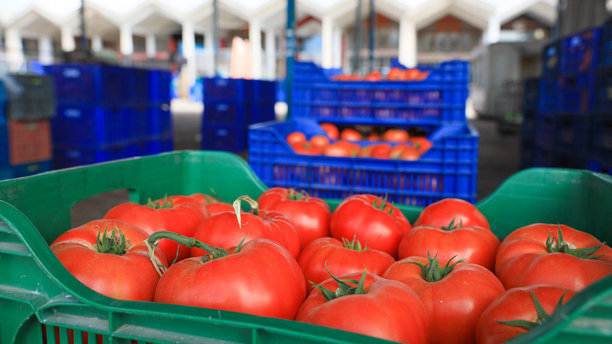 Antalya, Isparta ve Burdur'u kapsayan Batı Akdeniz İhracatçılar Birliği (BAİB) üzerinden bu yılki bölge ihracatı, 13 Ekim itibarıyla 2 milyar doları aştı.