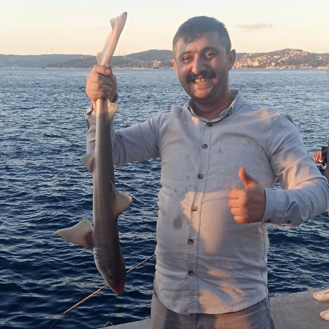 Oltasına Camgöz cinsi yavru köpek balığı takıldı