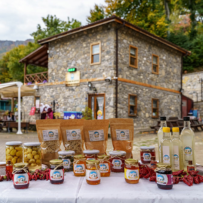 Bursa’daki Zeyniler köyü, cumhuriyet dönemi edebiyatının en önemli eserlerinden Çalıkuşu ile adını tüm Türkiye’ye duyurdu.