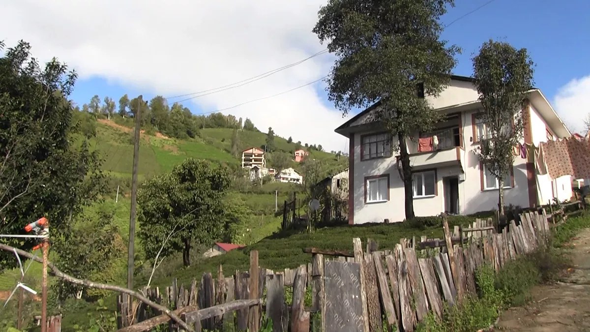 Artvin'in borçka ilçesinde unesco'nun 'türkiye'nin ilk biyosfer rezervi' olarak ilan edip, koruma altına aldığı camili (macahel) vadisi, tarım zararlısı kahverengi kokarca böceğinin istilasına uğradı.