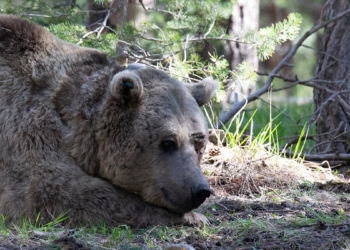 Boyner National Geographic ile iş birliği yaptı