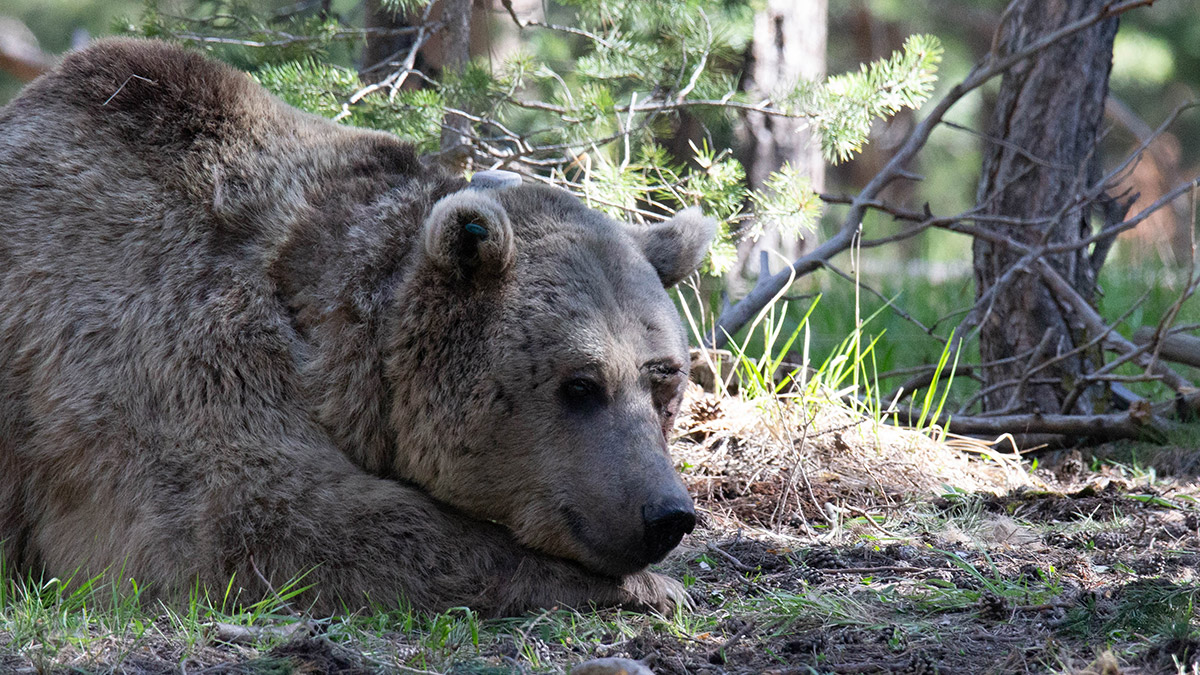 Boyner National Geographic ile iş birliği yaptı