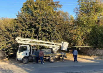 Ceviz toplarken akıma kapılarak hayatını kaybetti