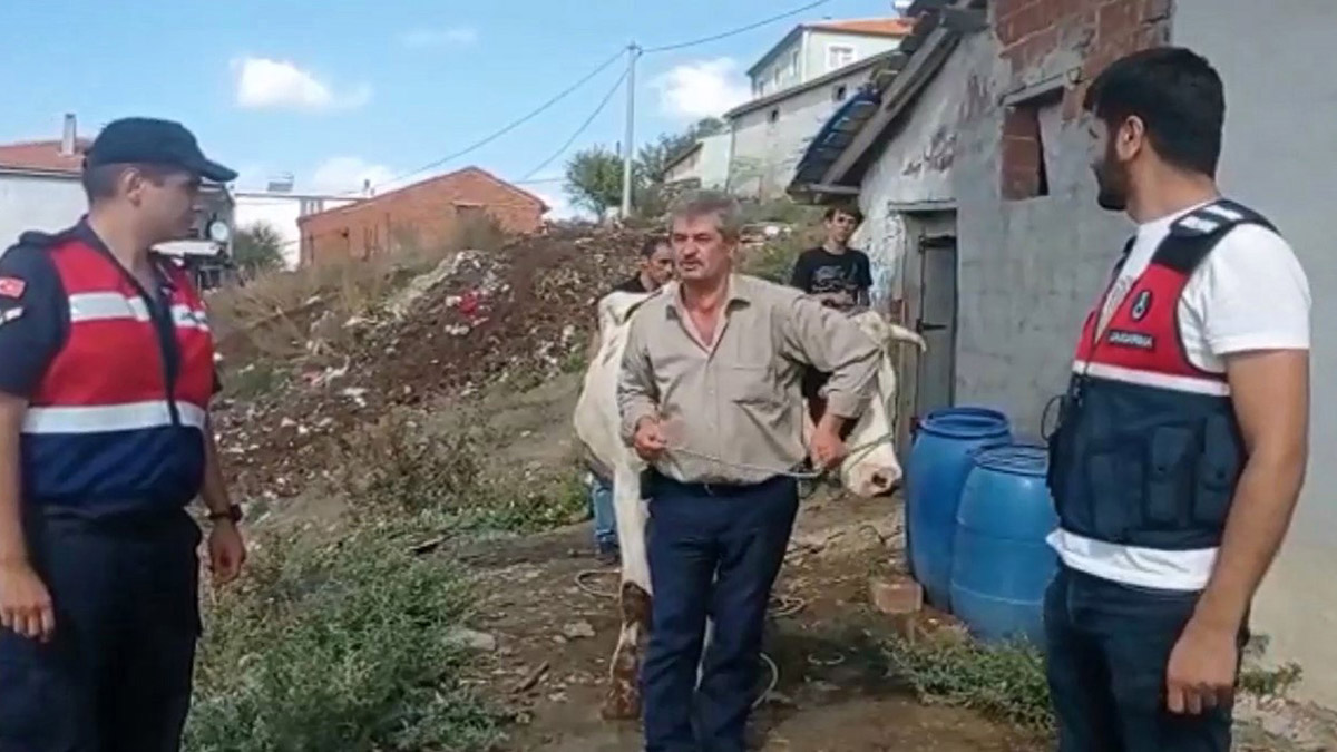 Çalınan hayvanları JASAT buldu