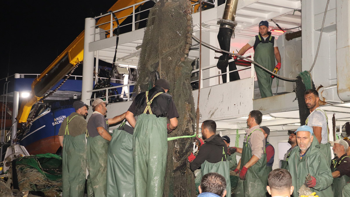 Dalgıçlar için denize batırılan hurda uçak ağlara takıldı