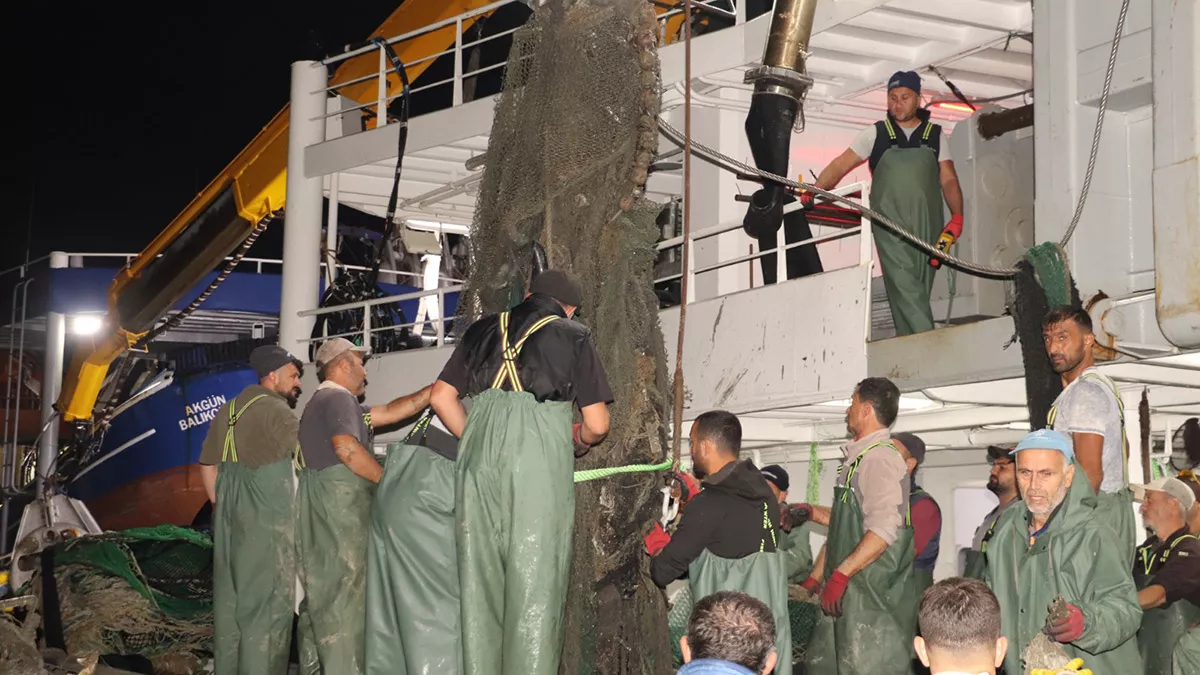 Dalgıçlar için denize batırılan hurda uçak ağlara takıldı