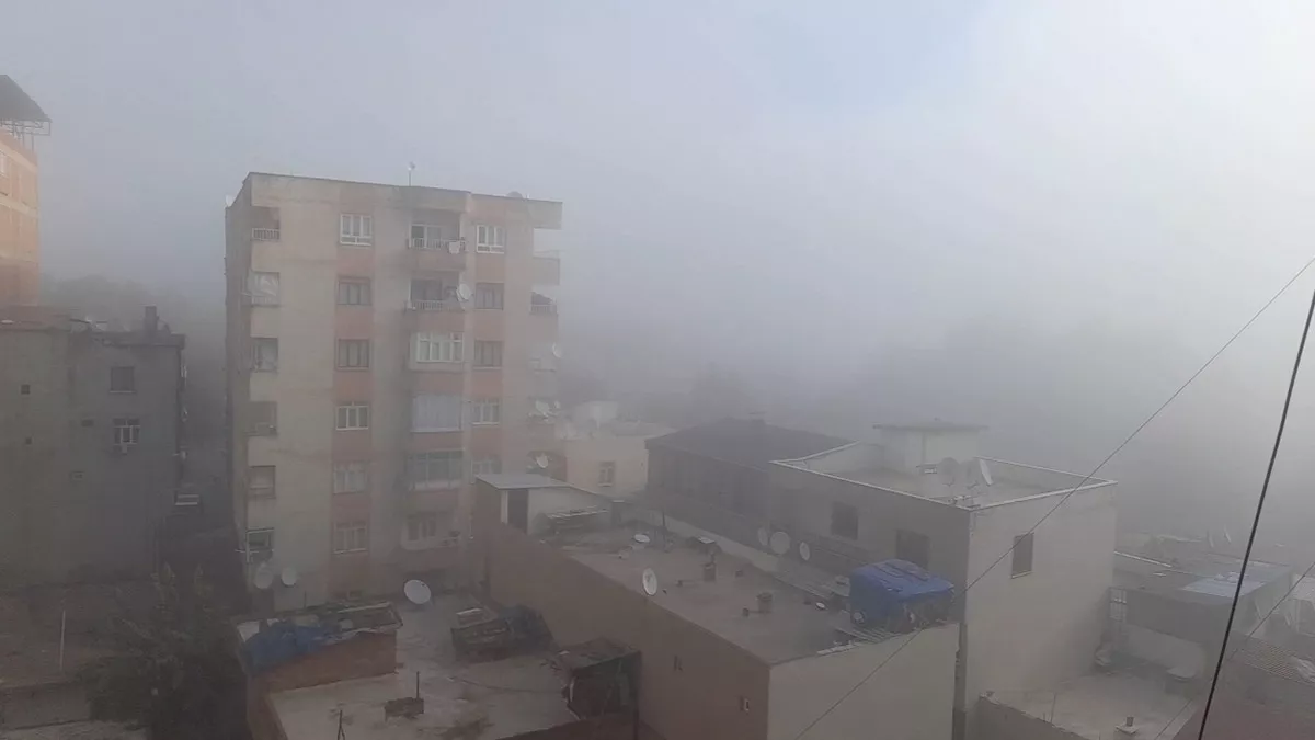 Diyarbakır'da sis; uçuşlar iptal