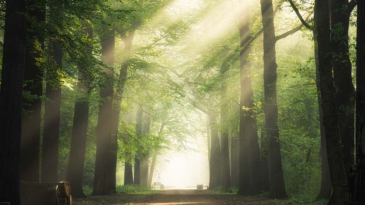 2021 yılı çevre koruma harcamaları