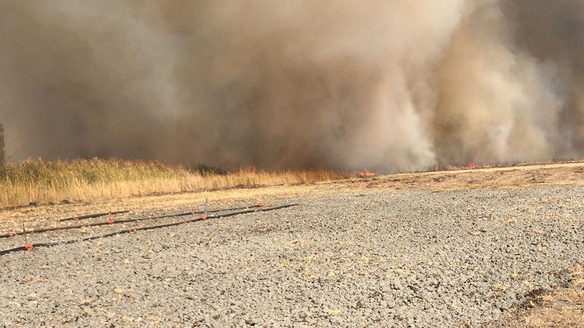 Eber Gölü kıyısındaki sazlıkta yangın