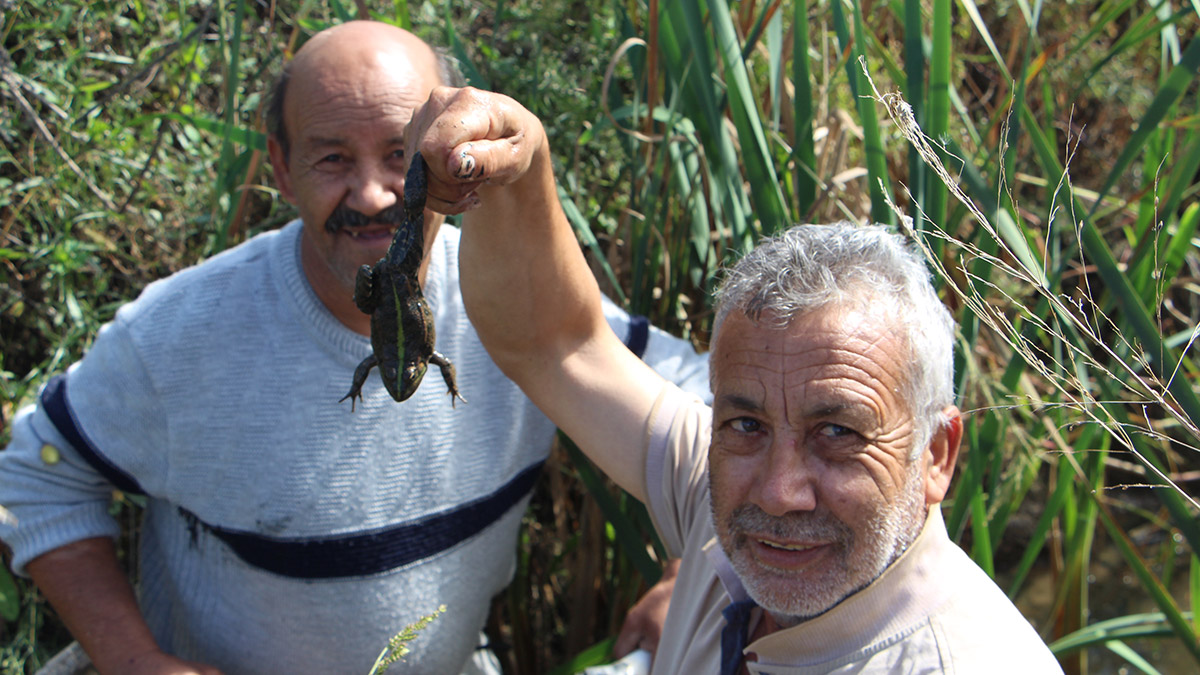Kurbağa avcıları yeni sezonu açtı
