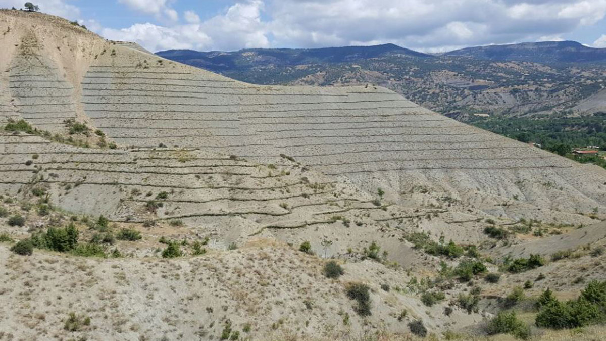 Türkiye, erozyonla mücadelede yaptığı ağaçlandırma çalışmaları ile dünyada 4'üncü, Avrupa'da 1'inci sıraya yerleşirken, ülkenin orman varlığı 23,1 milyon hektara ulaştı.