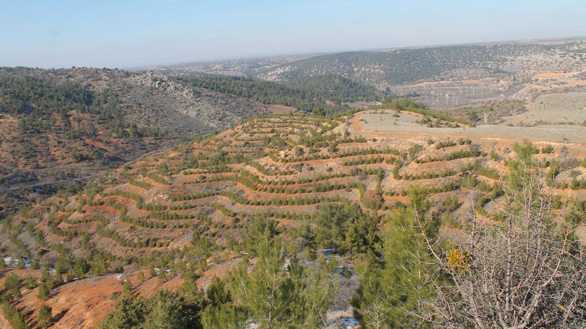 Erozyonla mücadele sonuç verdi