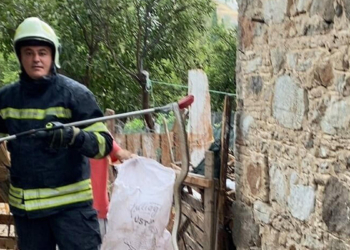 Evin deposuna giren yılan panik yarattı