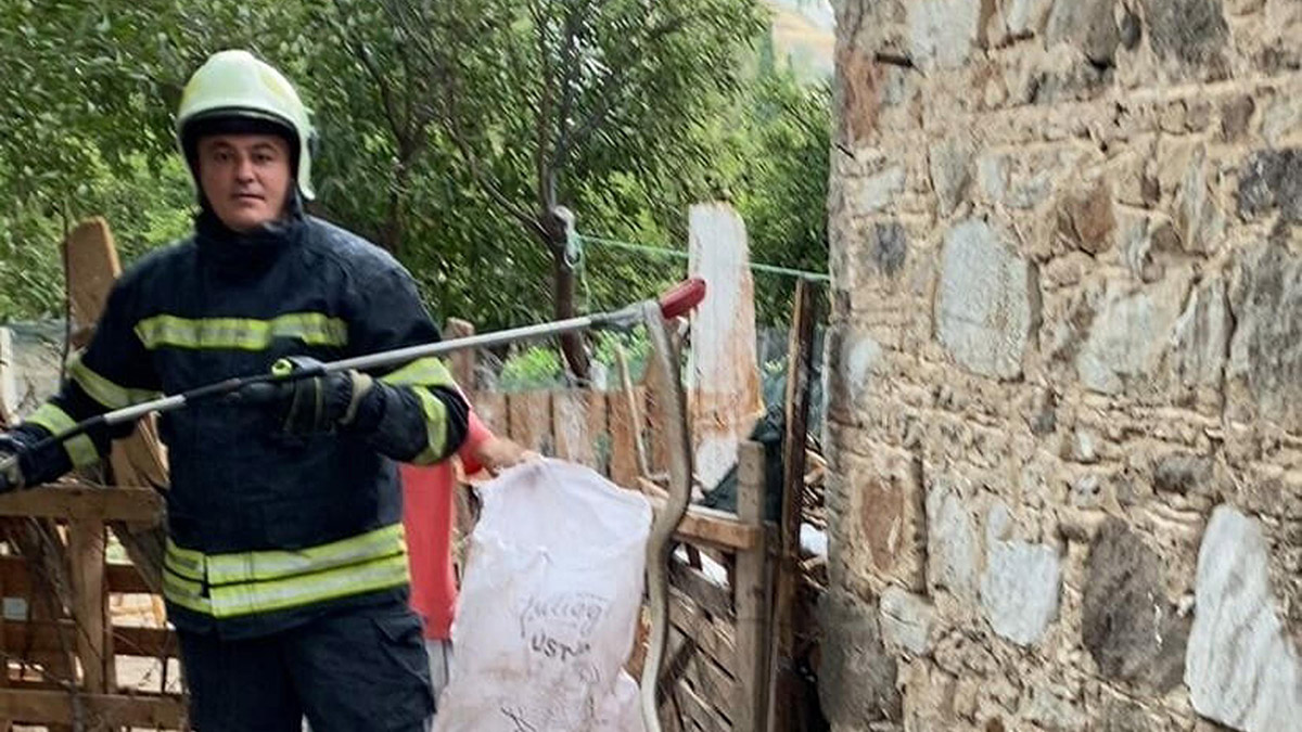 Evin deposuna giren yılan panik yarattı