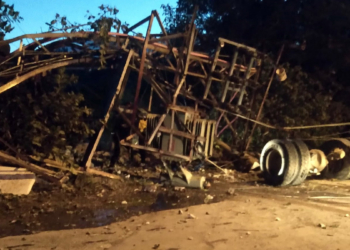 Freni boşalıp devrilen kamyonun sürücüsü öldü
