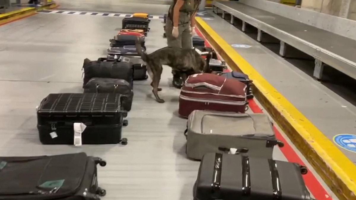 Gümrük muhafaza ekiplerinden 16 uluslararası operasyon