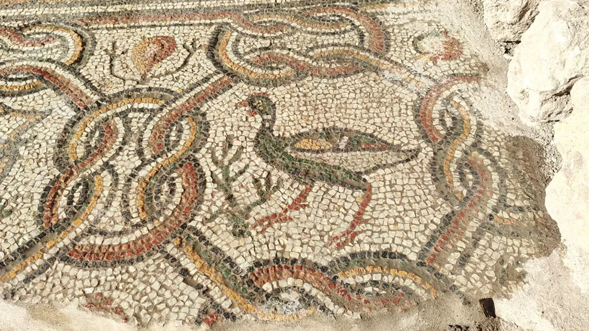 Hadrianopolis'de yeni mozaikler bulundu