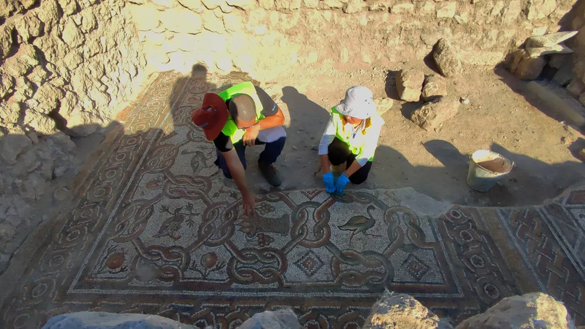 Hadrianopolis'de yeni mozaikler bulundu