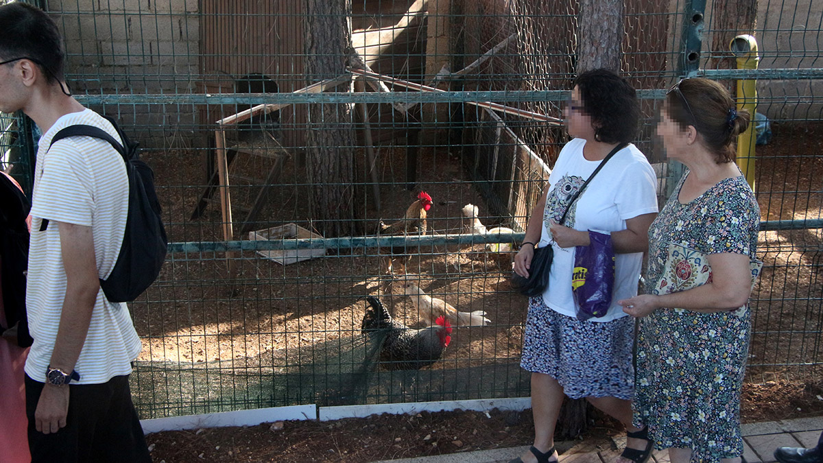 Hastalar meyve hasadı yapıp, hayvanat bahçesi gezdi