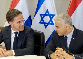 https://tr.wikipedia.org/wiki/Mark_Rutte