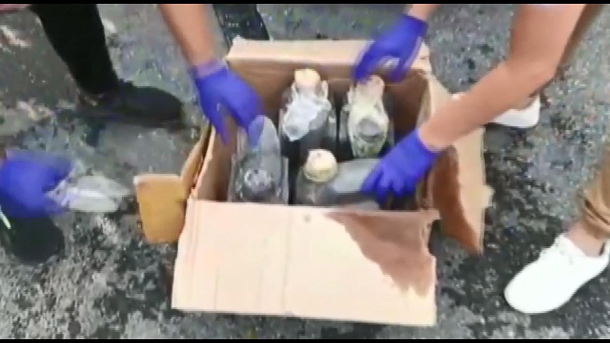 Eş zamanlı operasyonda 44 kilogram uyuşturucu ele geçirildi