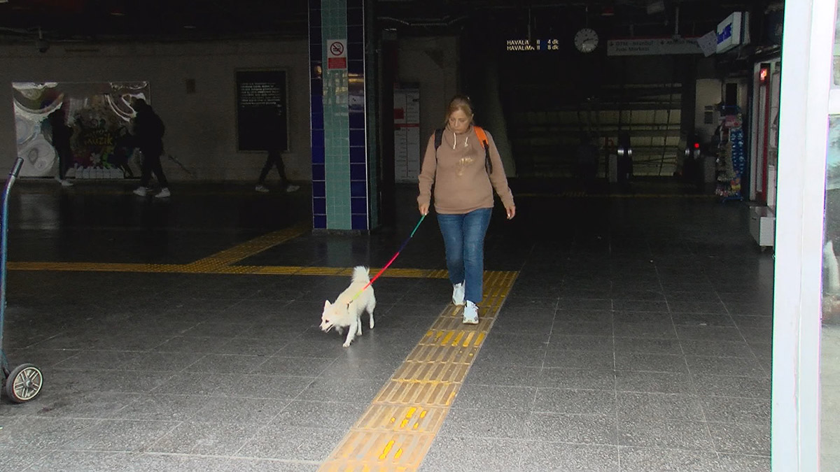 İBB, 3 Ekim'de toplu ulaşım araçlarında evcil hayvanlarla seyahat edebilme şartlarını yeniden düzenledi.