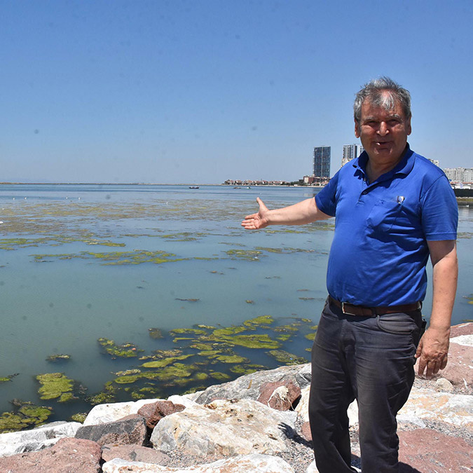 Deniz marulları sahilleri kapladı