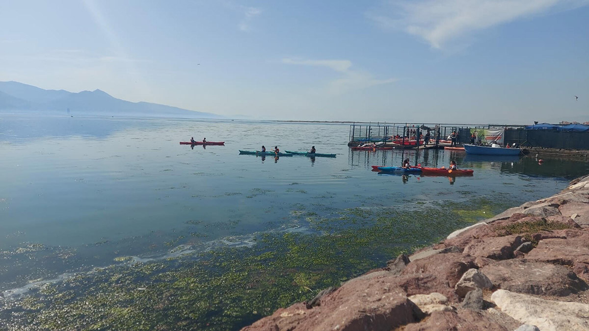 Deniz marulları sahilleri kapladı