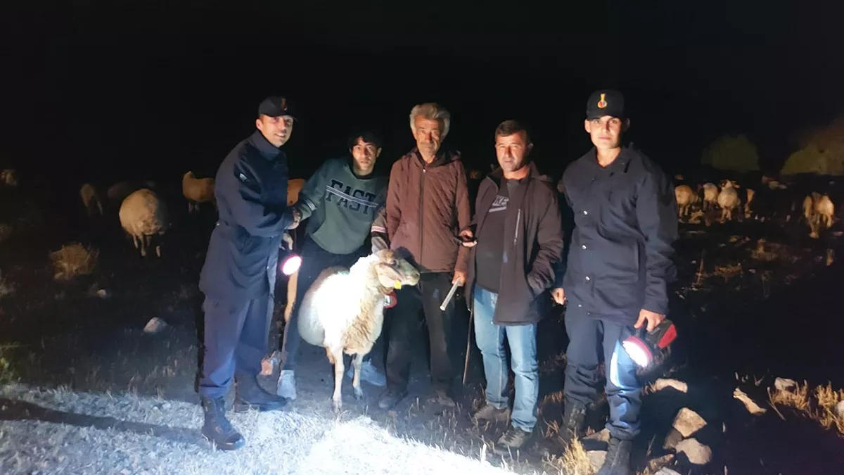 Kaybolan 50 koyun dronla bulundu