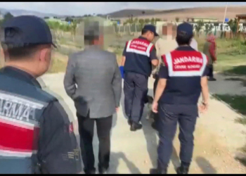 Çiftlikte yabani hayvan operasyonu