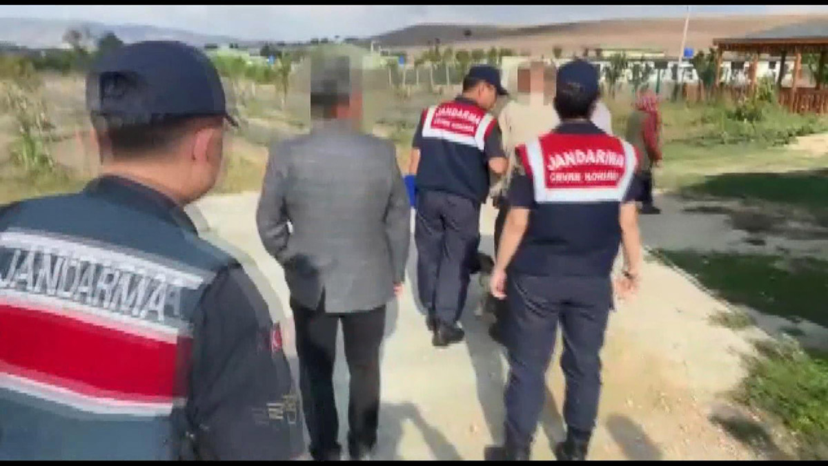 Çiftlikte yabani hayvan operasyonu