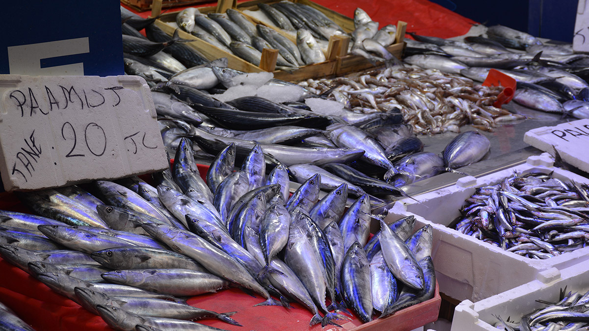 Tezgahlarda palamut çok, cepte para yok