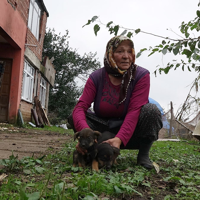 Köpek ölümlerinde kimyasal madde iddiasına soruşturma