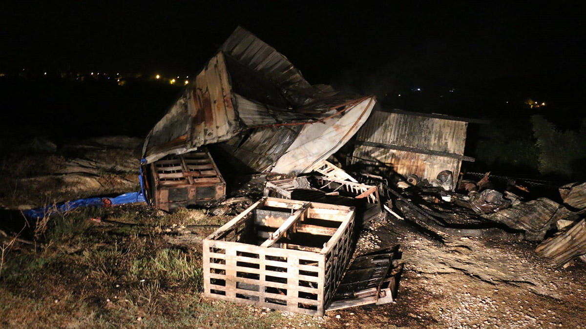 Barakadaki 90 güvercin yanarak öldü